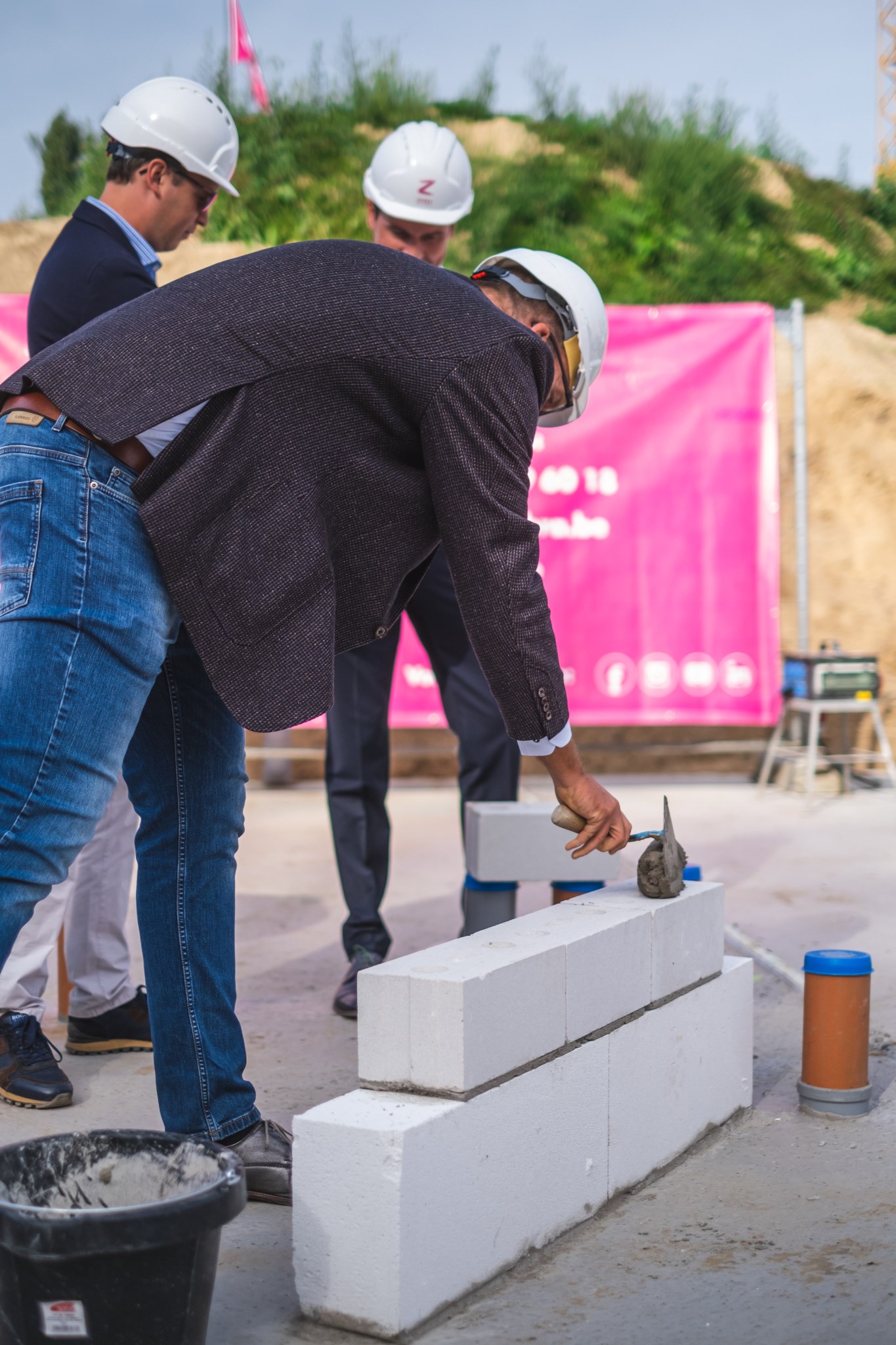 Zabra  directie hof Van Gent